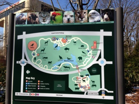 Queens Zoo New York in CityKinder German Blog CityErleben